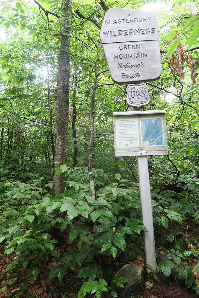 On the Long Trail, sign for the Glastenbury Wilderness of the Green Mountains. Photo by artist and thru-hiker Dawn TaosDawn Chandler.