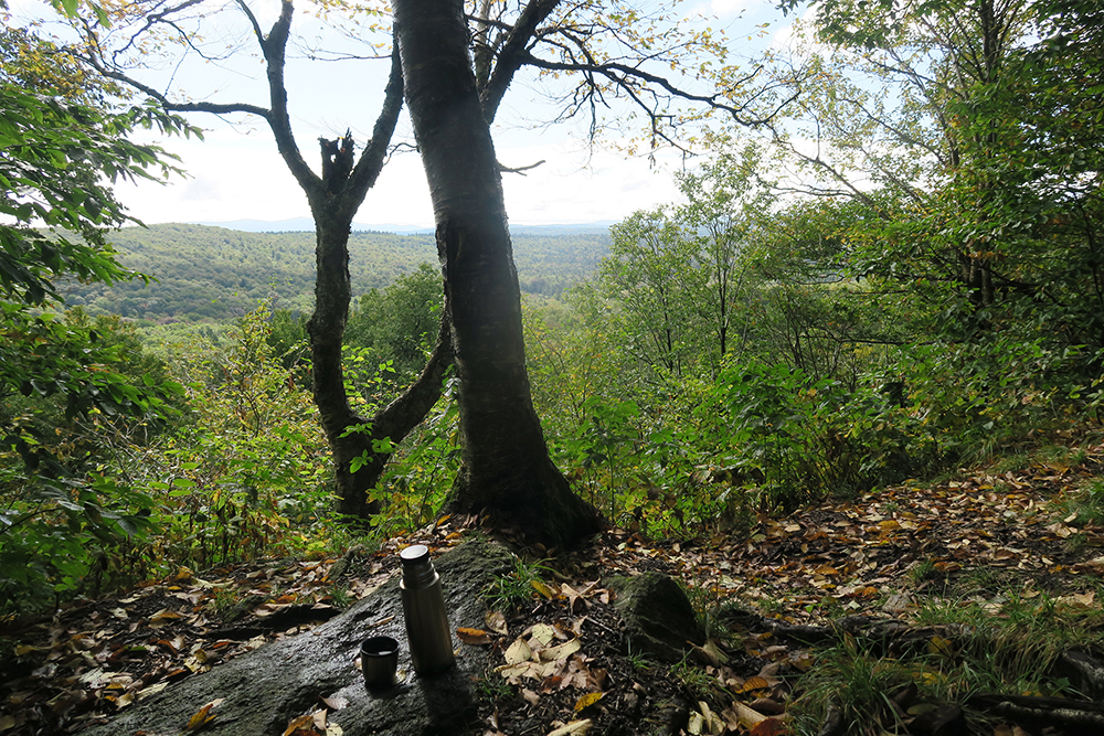 Perfect rest spot for morning tea along the Long Trail in southern Vermont. Photo by artist and thru-hiker Dawn TaosDawn Chandler