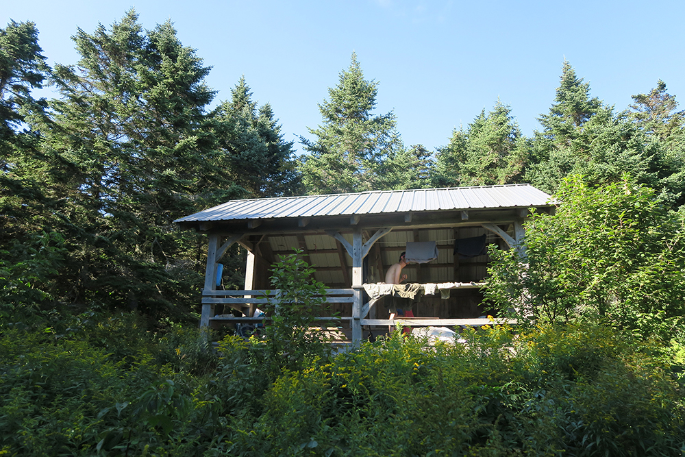 Goddard Shelter on the Long Trail, Vermont. Photo by artist and thru-hiker Dawn TaosDawn Chandler.