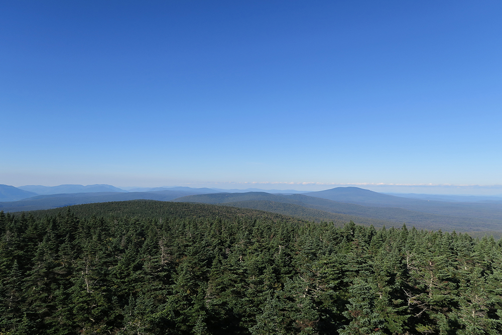 Looking across a sea of trees from Vermont's Glastenbury Peak on the Long Trail. Photo by artist Dawn Chandler.