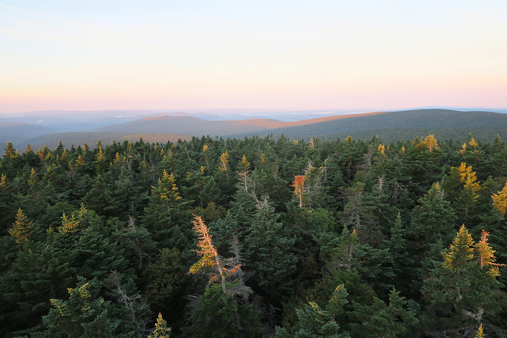 Dawn light illuminating the tree tops along the Long Trail, Vermont. Photo by artist and thru-hiker Dawn TaosDawn Chandler.