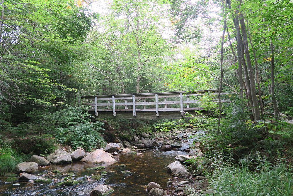 Footbridge across a beautiful Vermont Stream on the Long Trail. Photo by artist and thru-hiker Dawn TaosDawn Chandler.