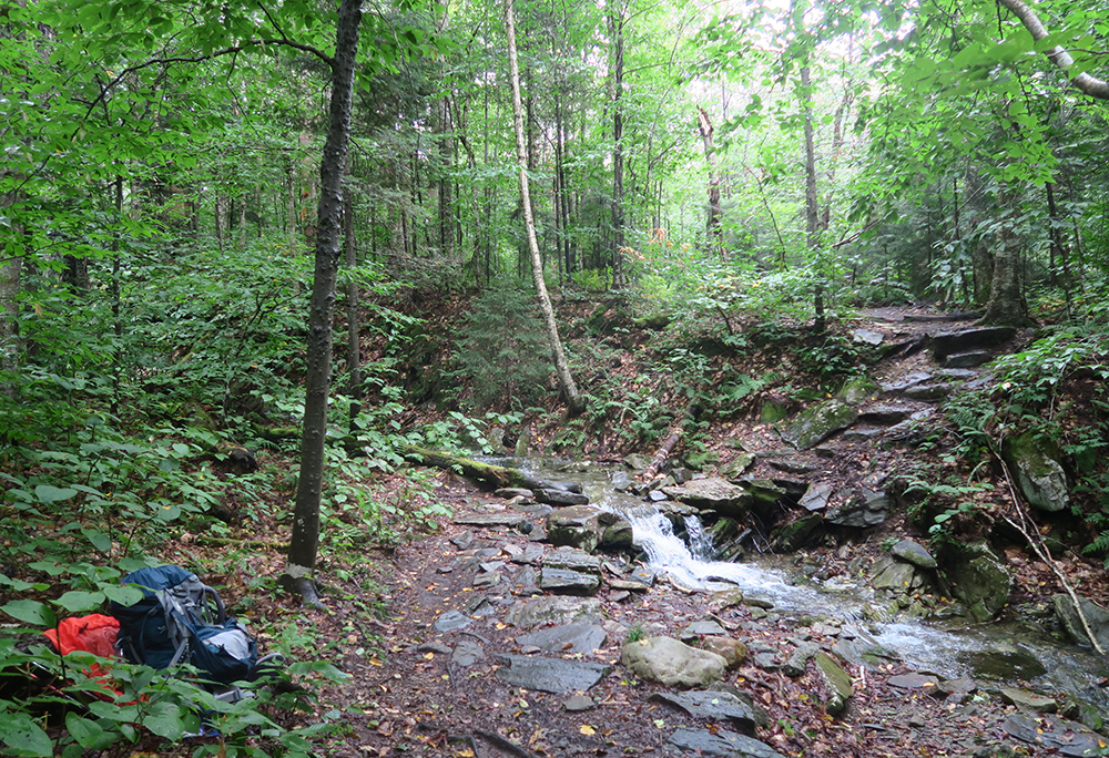 Taking a break along a stream on Vermont's Long Trail south of Stratton Mountain.