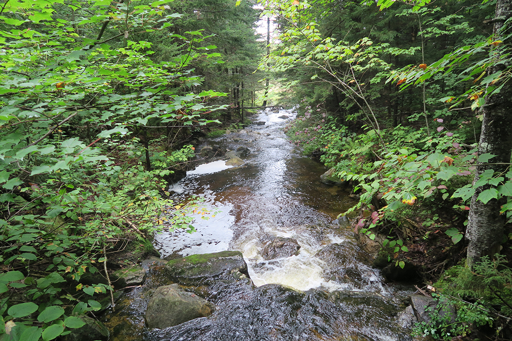 A beautiful Vermont stream somewhere between Stratton Mountain and Stratton Pond. Photo by artist and LT thru-hiker Dawn Chandler.