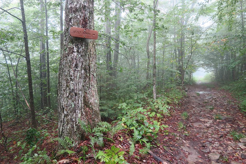 LT/AT trail sign north of Stratton Pond, Vermont. Photo by artist and LT thru-hiker Dawn TaosDawn Chandler.