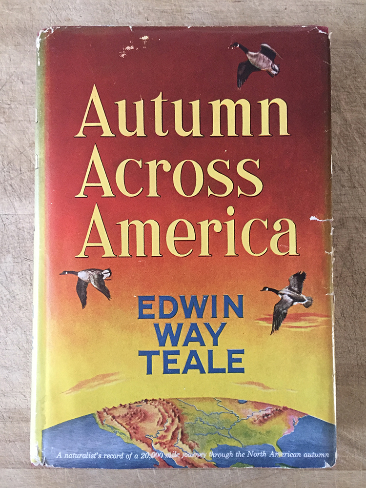 Cover of the 1956 edition of Autumn Across America by Edwin Way Teale.