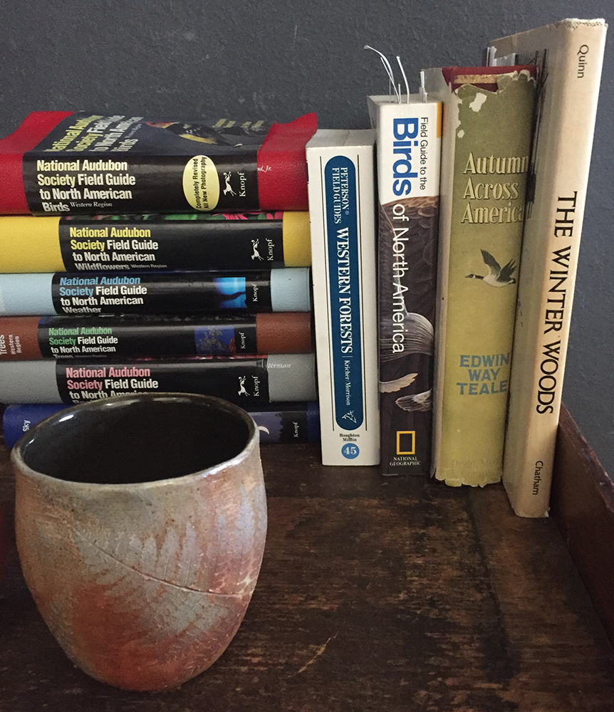 A selection of Dawn Chandler's collection of field guides and nature books. Photo by Dawn Chandler