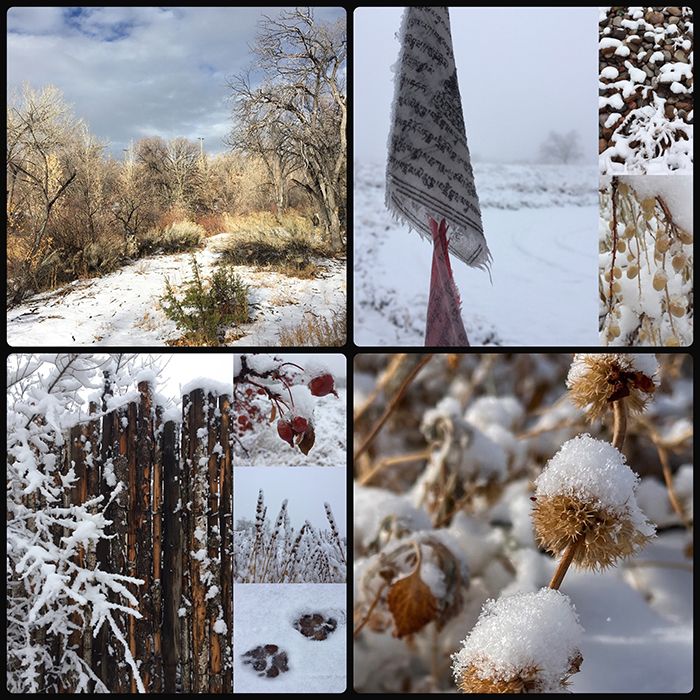 Scenes of winter in Santa Fe, New Mexico. Photo by artist Dawn Chandler