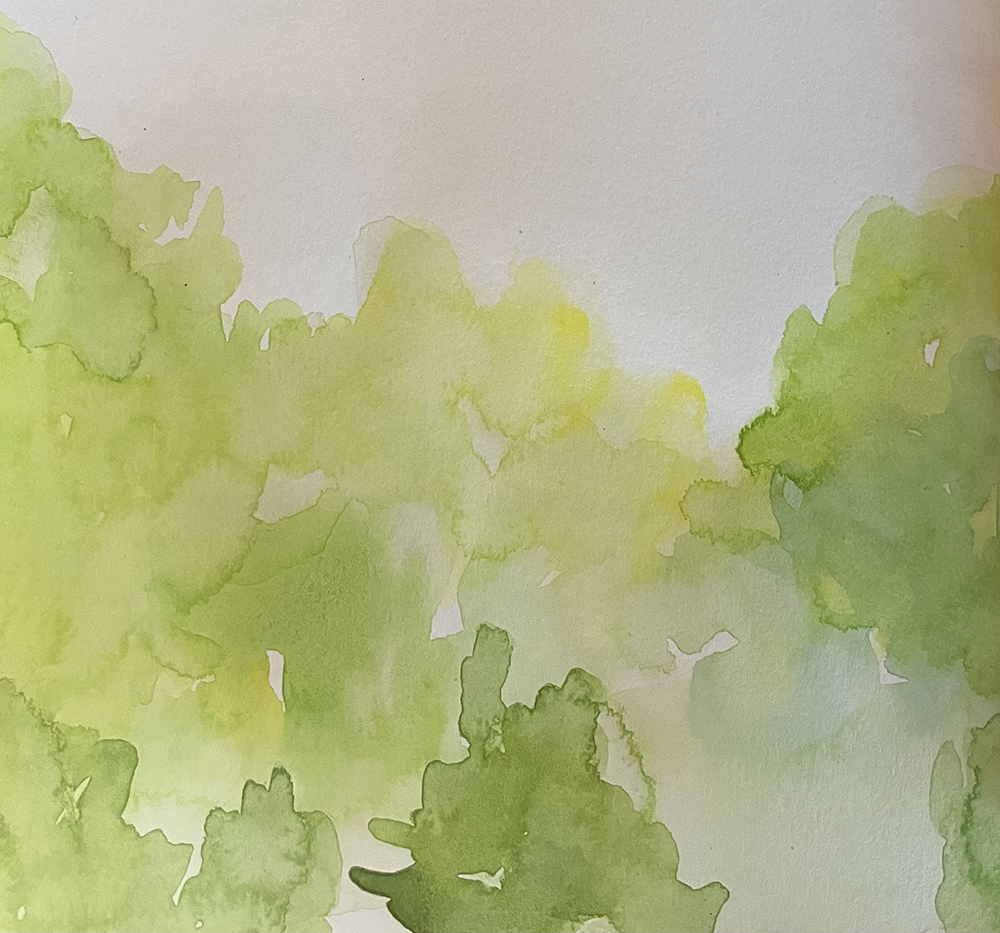 Watercolor sketches by artist Dawn Chandler celebrating the subtleties of spring greens.