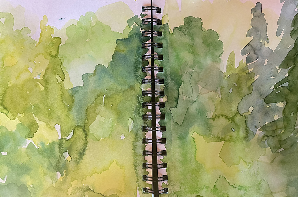 Watercolor sketches by artist Dawn Chandler celebrating the subtleties of spring greens.