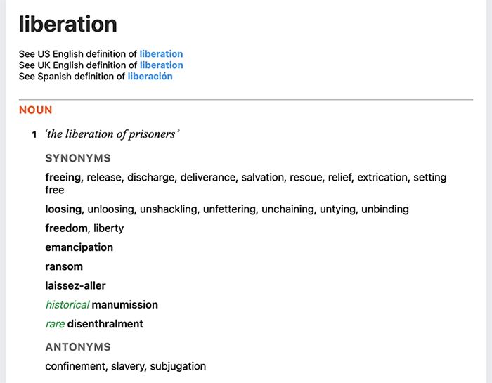 Definition of the word Liberation from Lexico.com