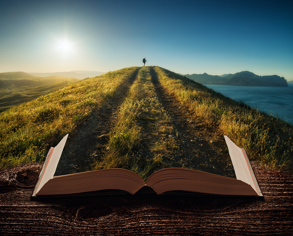 Book transforming into a grass road with distant solitary woman backpacker image by Vitalii Bashkatov.