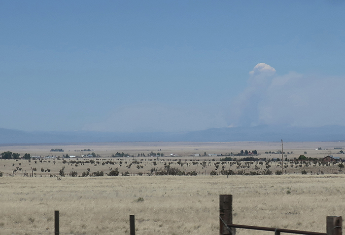 The growing smoke plume of the Hermits Fire as seen from I-40 in New Mexico May 2022. Photo by Dawn Chandler.
