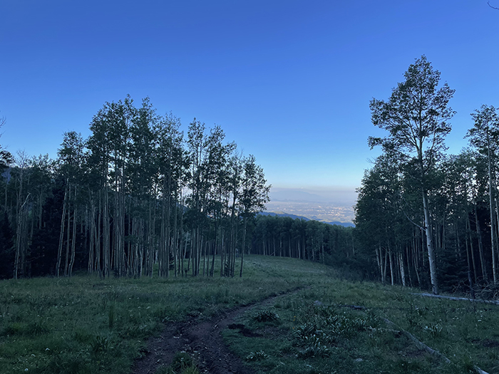 Looking down across 'Carl's Meadow' in the Santa Fe National Forest, New Mexico. Photo by Dawn Chandler.