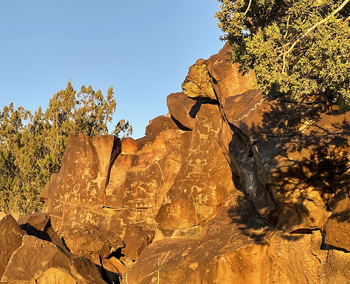 A closer look of an array of Cieneguilla petroglyphs of the Caja del Rio in early morning light. Photo by artist Dawn Chandler.