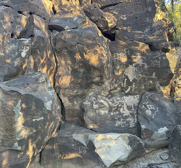 History and mystery in the New Mexico landscape: Petroglyphs dappled in shade and sunlight at Cieneguilla in the Caja del Rio, New Mexico. Photo by artist Dawn Chandler.