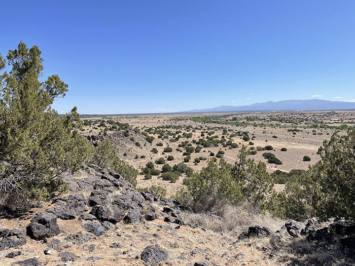 Looking across the arid Caja del Rio in New Mexico in early June - a season of extraordinary drought. Photo by Dawn Chandler.