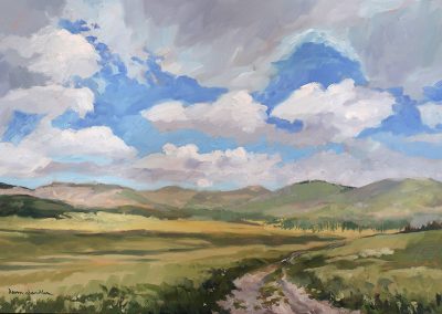 valle caldera summer vista, new mexico - landscape painting in oil by artist dawn chandler