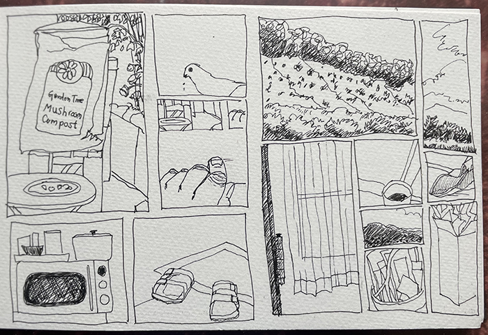 A page from artist Dawn Chandler's 2023 sketchbook filled with small, random drawings of things around her Santa Fe home.