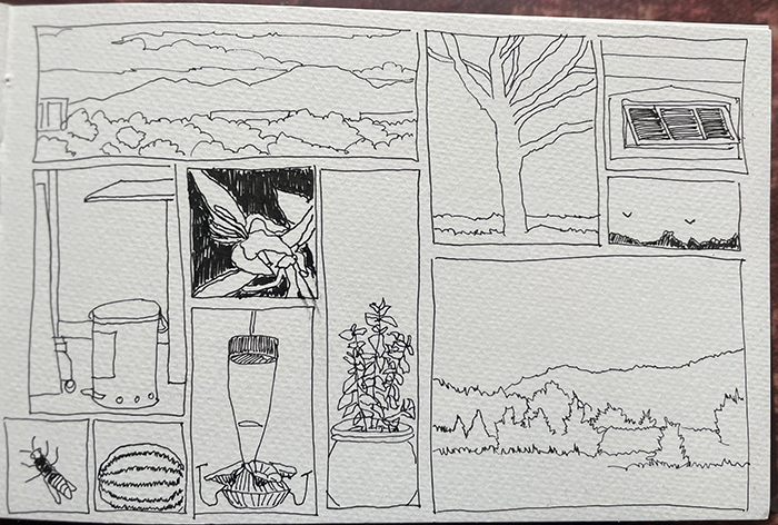 A page from artist Dawn Chandler's 2023 sketchbook filled with small, random drawings of things scenes around her Santa Fe home.