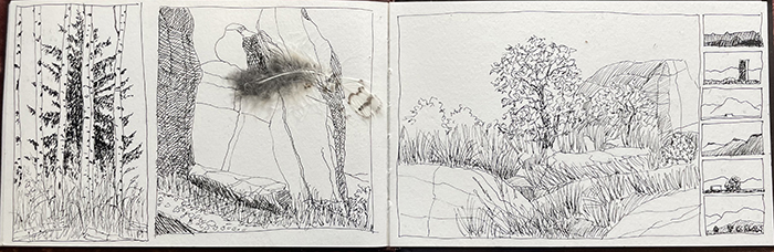 A page from artist Dawn Chandler's 2023 sketchbook filled with small, random drawings of New Mexico landscapes.