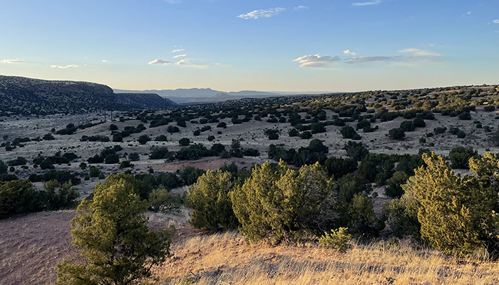 Early spring late afternoon light across the Caja del Rio near Santa Fe, New Mexico. Photo by Dawn Chandler.