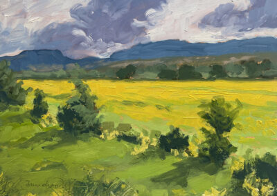New Mexico landscape painting by artist Dawn Chandler of an Abiquiu field glowing with summer gold, with bright yellow‑green grasses, scattered dark green trees, and distant blue hills beneath dramatic, swirling storm clouds.