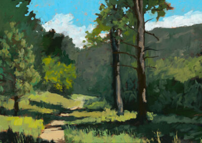 ‘The Trail to Pueblano’ original New Mexico landscape painting in oil by Santa Fe artist Dawn Chandler, depicting a narrow trail through sunlit grass and tall pine trees in a forested Philmont landscape beneath a bright blue sky.