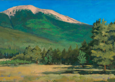 ‘Baldy from Miranda Meadow’ original New Mexico landscape painting in oil by Santa Fe artist Dawn Chandler, depicting Baldy Mountain rising above a sunlit meadow, dark evergreen forest, and green foothills at Philmont.